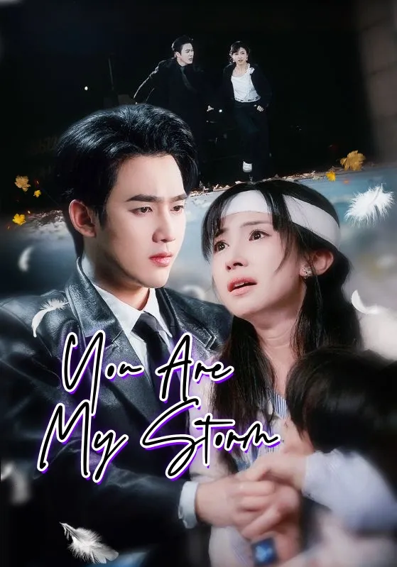 You Are My Storm You Are My Storm Chinese drama poster - Velolo